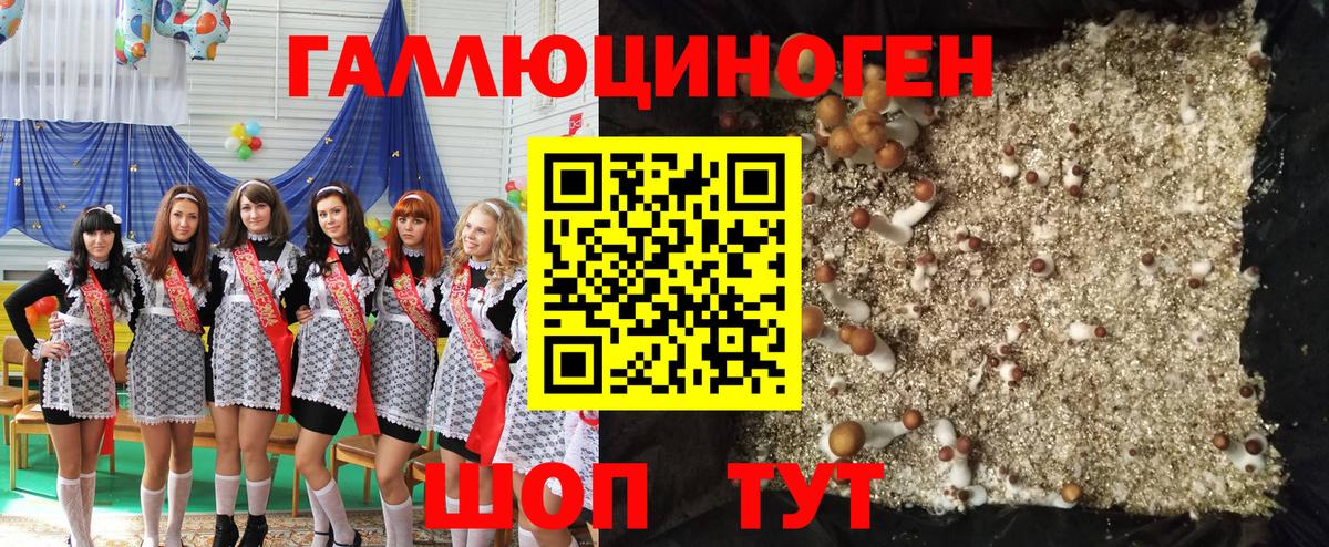 Галлюциногенные грибы Magic Shrooms  Вход с VPN  Черкесск 
